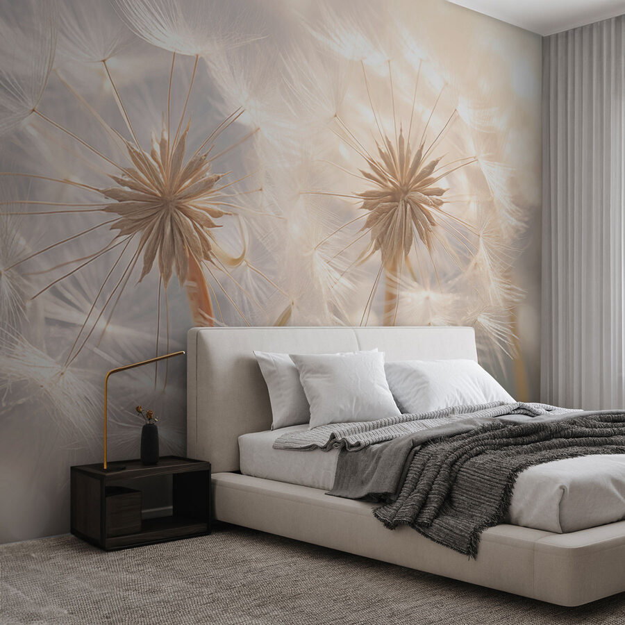 Wall murals Delicate dandelion seeds in soft light