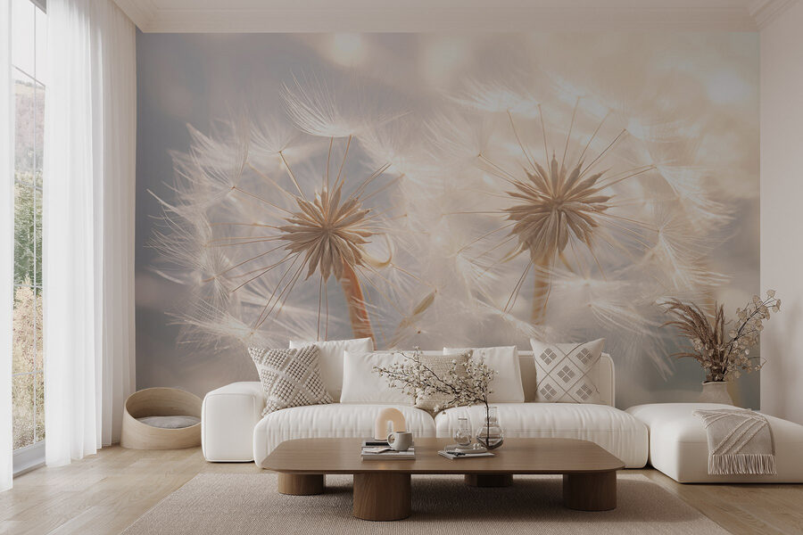 Wall murals Delicate dandelion seeds in soft light - Image 3