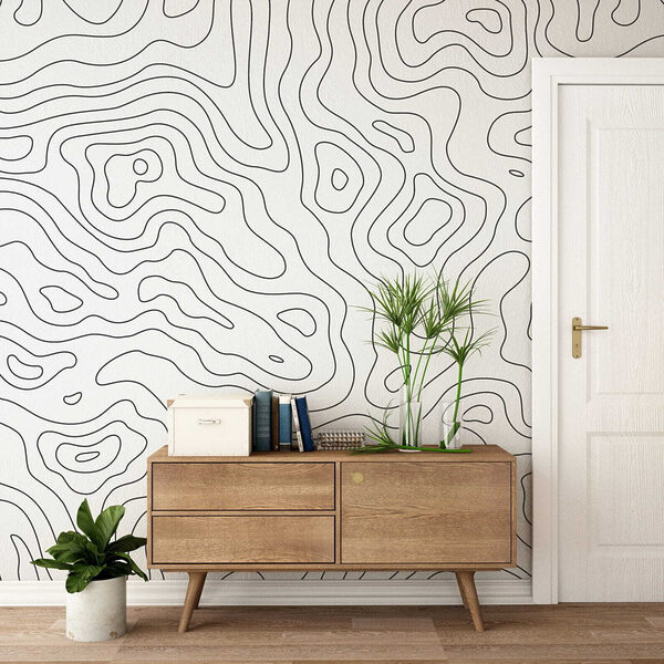 Black and white contour lines