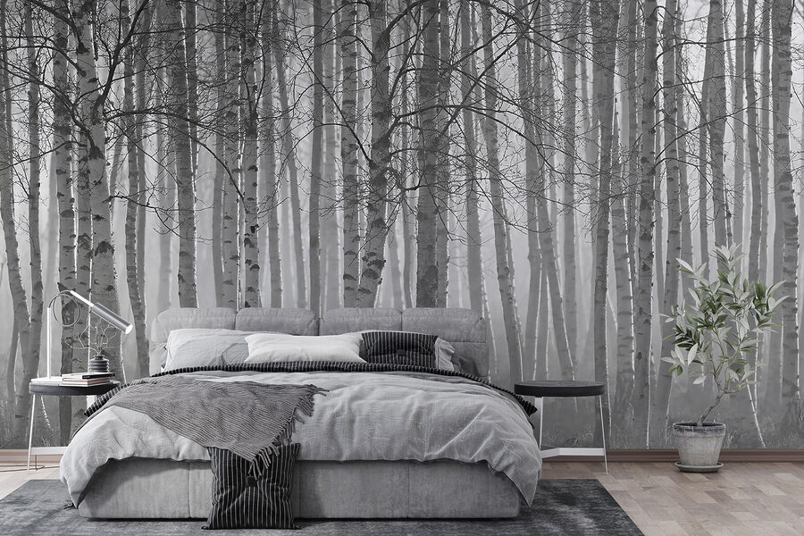 Group of trees in a forest