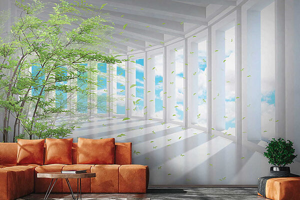 Tree in a room with windows