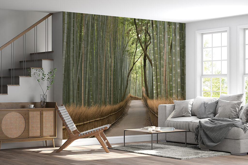 Path through a bamboo forest Path through a bamboo forest