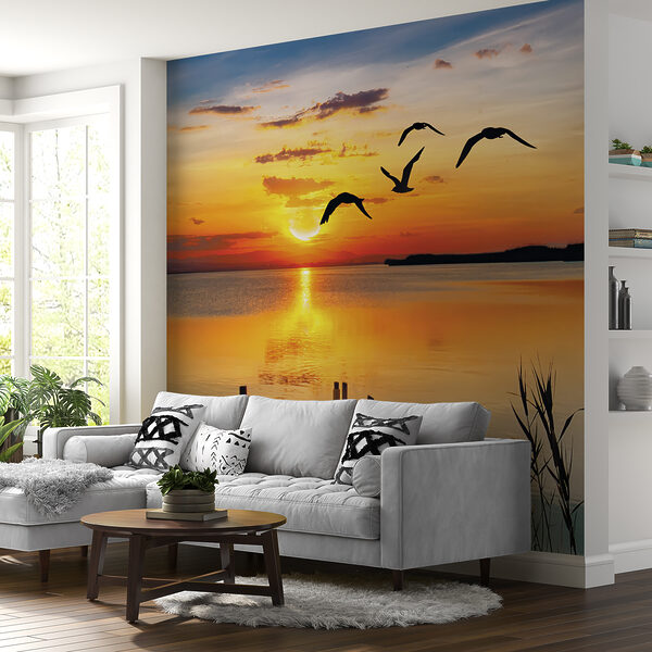 Dock with birds flying over water Dock with birds flying over water