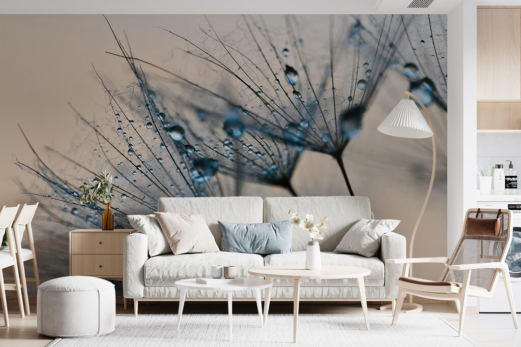 Delicate droplets on dandelion seeds Delicate droplets on dandelion seeds