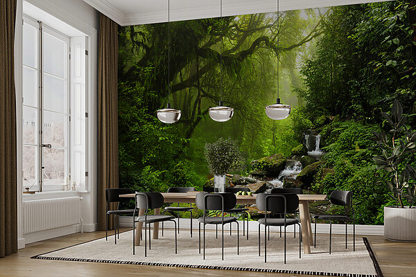 Stream running through a forest