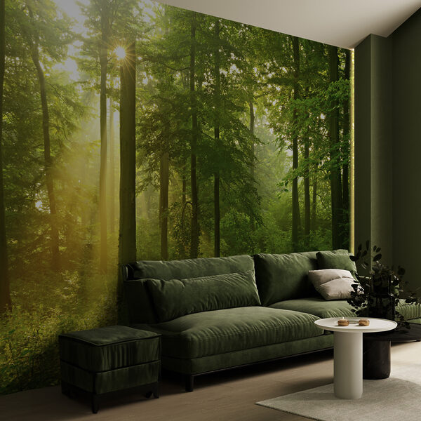 Sun shining through trees