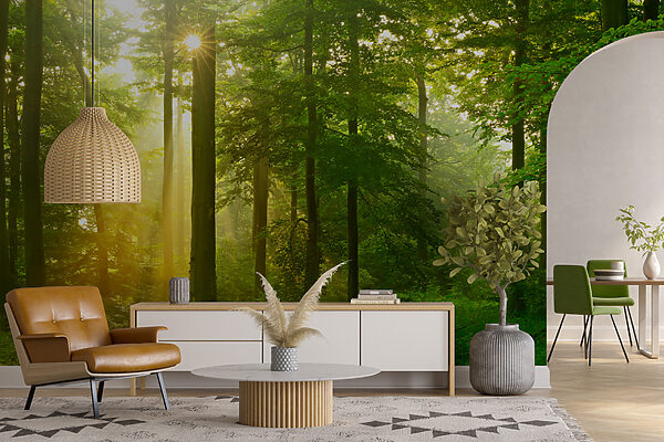 Sun shining through trees