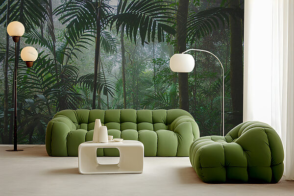 Dense forest with tall trees