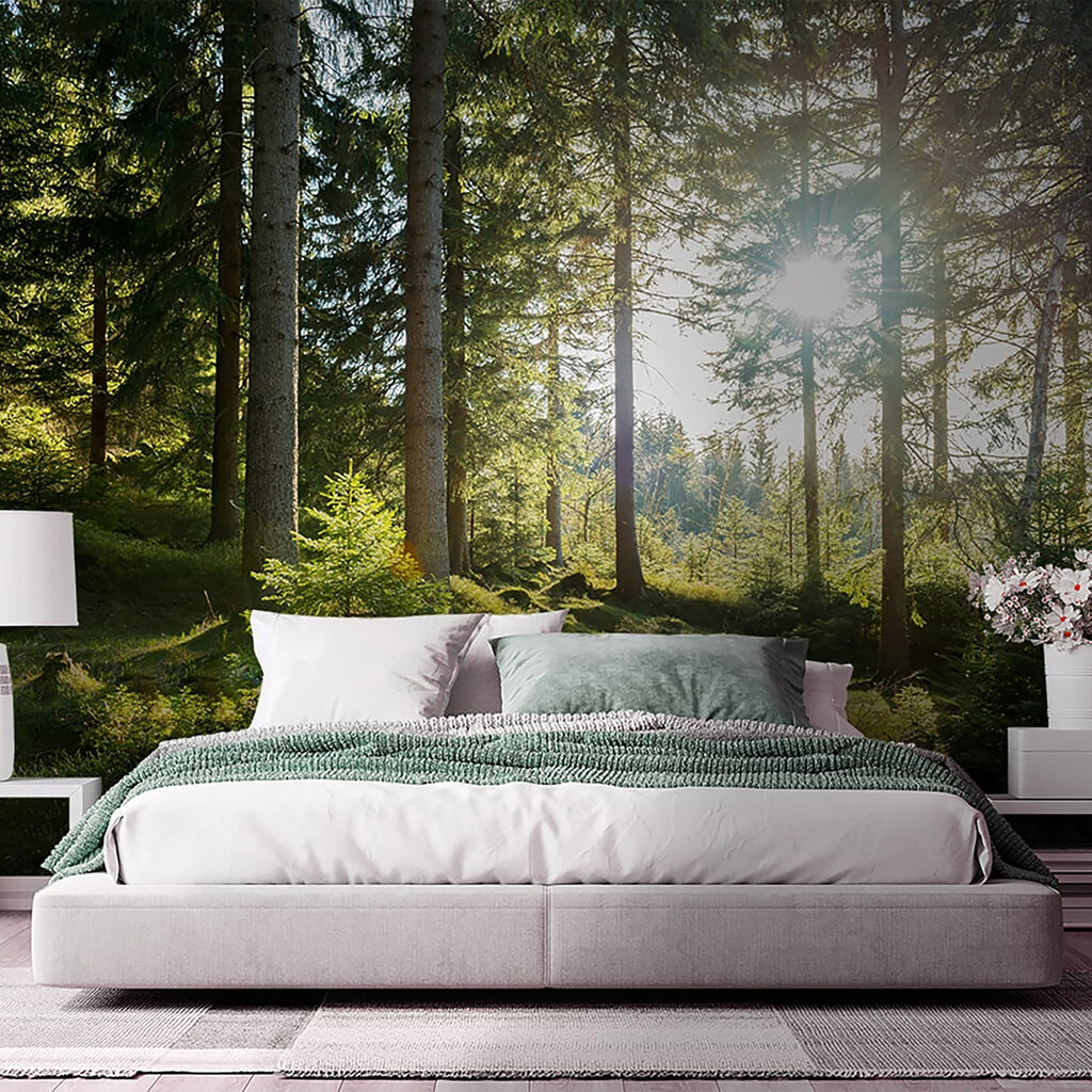 Sun shining through trees