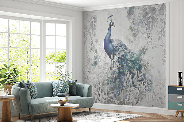 Peacock with feathers on a white background