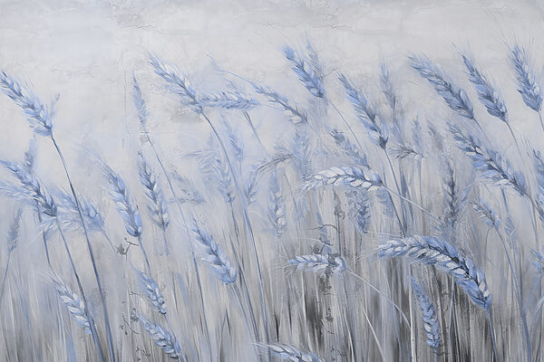 Soft blue waves of gentle wheat Soft blue waves of gentle wheat