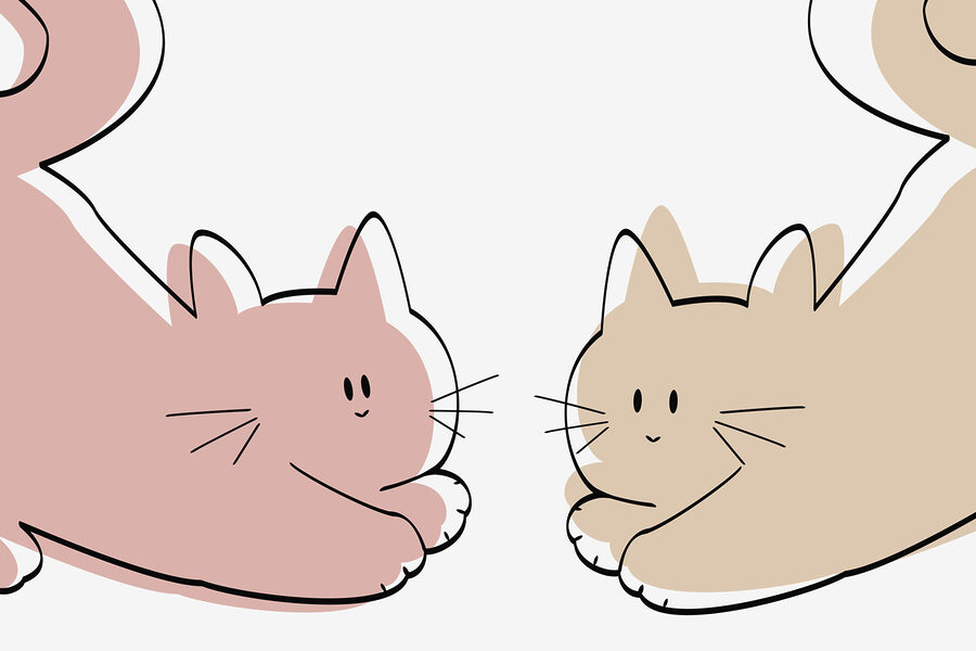 Couple of cats lying down