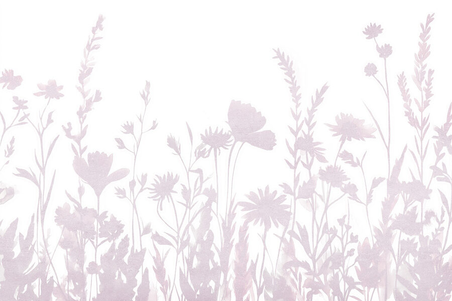 Soft silhouettes of delicate wildflowers Soft silhouettes of delicate wildflowers