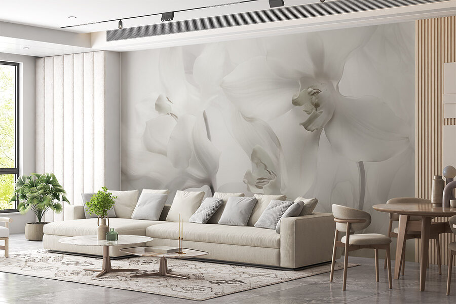 Delicate white orchids in soft light