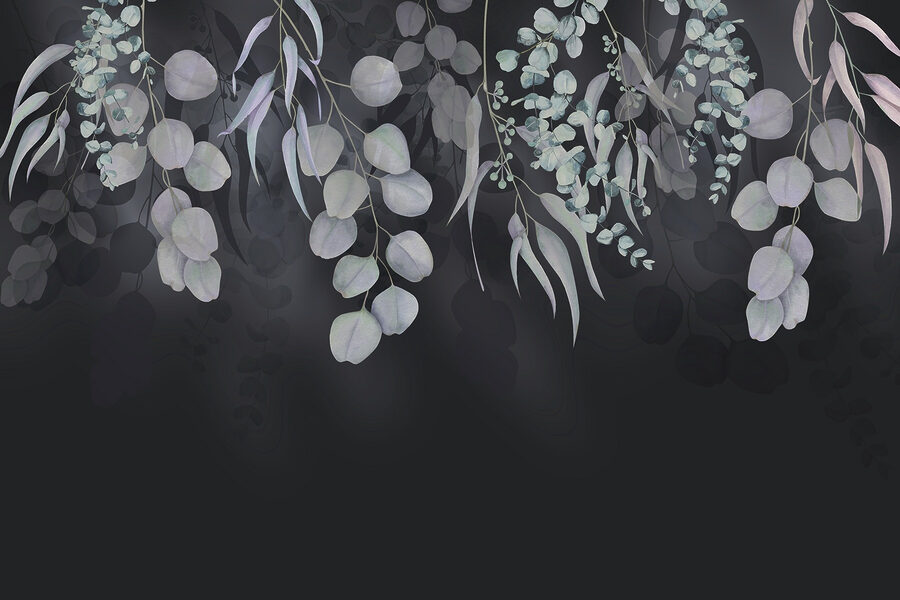 Graceful leaves against dark backdrop Graceful leaves against dark backdrop