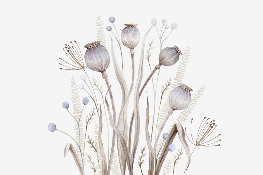 Watercolor painting of flowers and plants Watercolor painting of flowers and plants