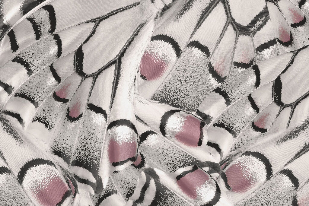 Nature's intricate patterns unfold beautifully Nature's intricate patterns unfold beautifully