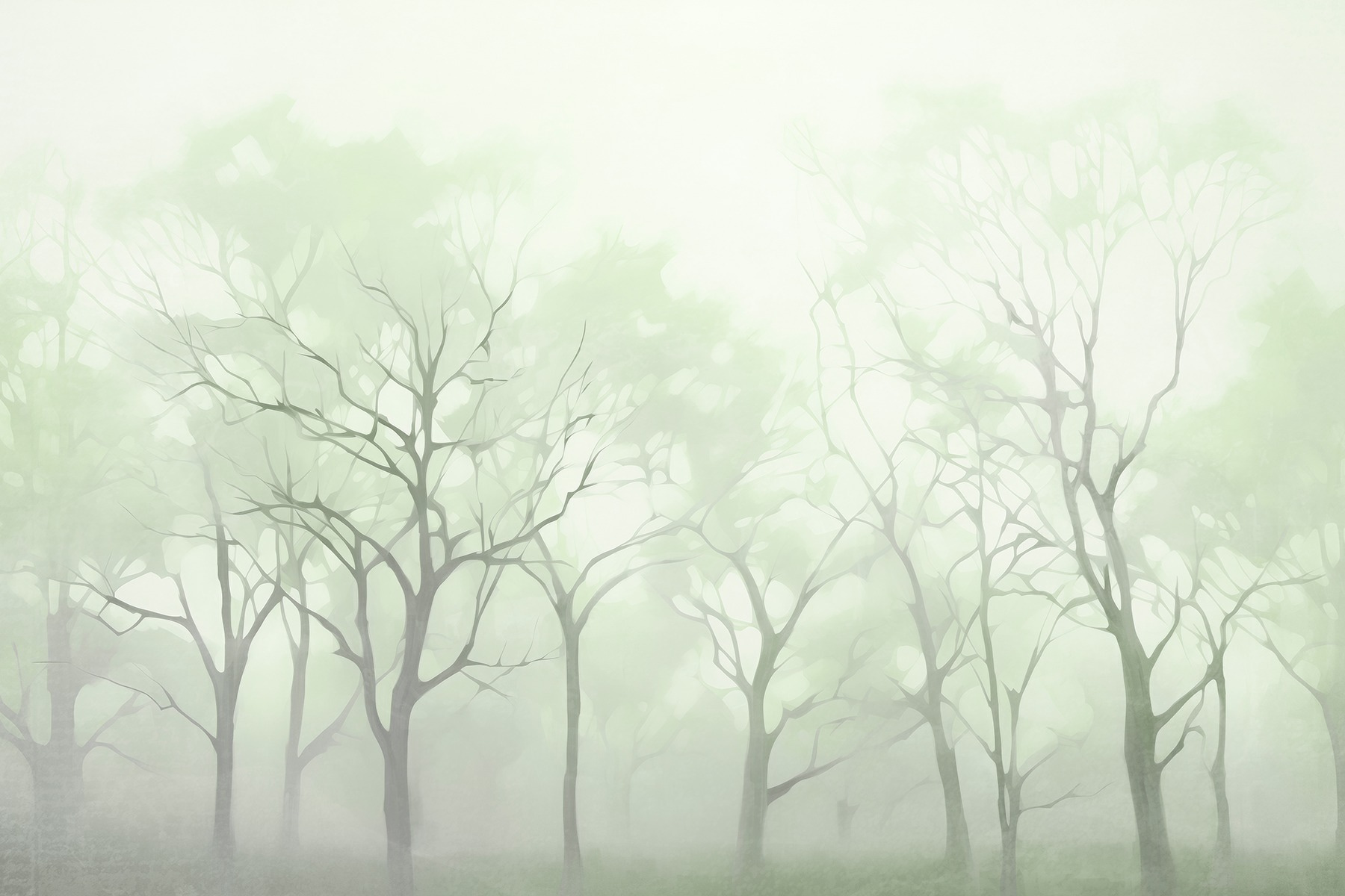 Group of trees in fog Group of trees in fog