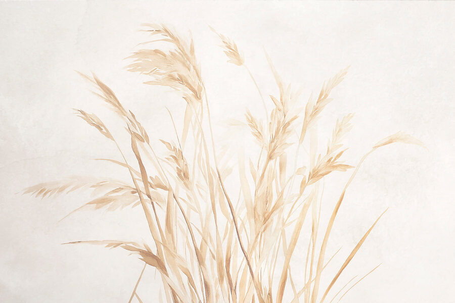 Wall murals Delicate grasses against a soft background - Image 5