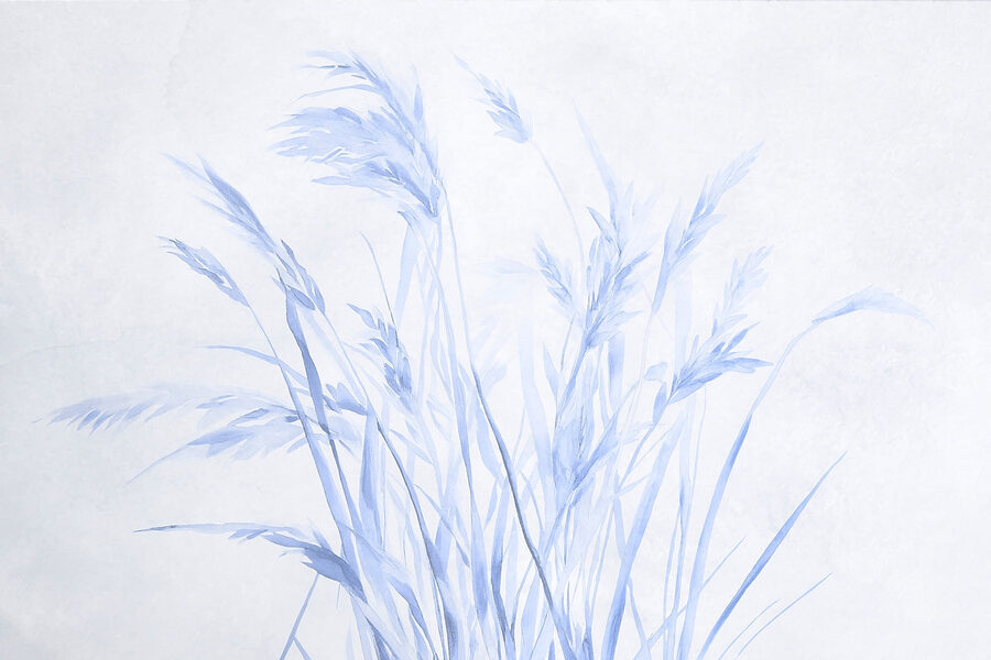 Delicate grasses in soft hues. Delicate grasses in soft hues.