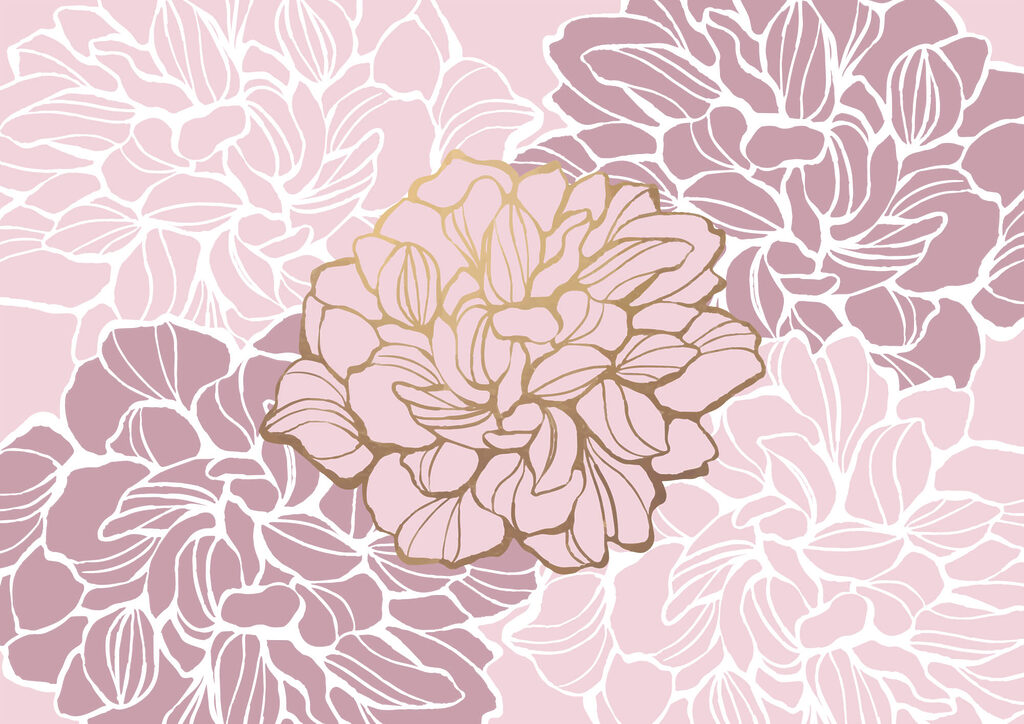 Pink and white flower t00003v1p 1024x724 - Pink and white flower - tegory