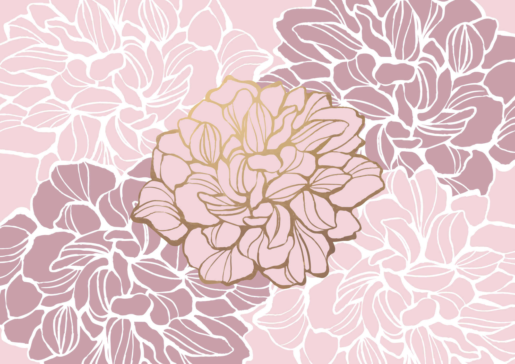 Pink and white flower t00003v1p - Pink and white flower - tegory
