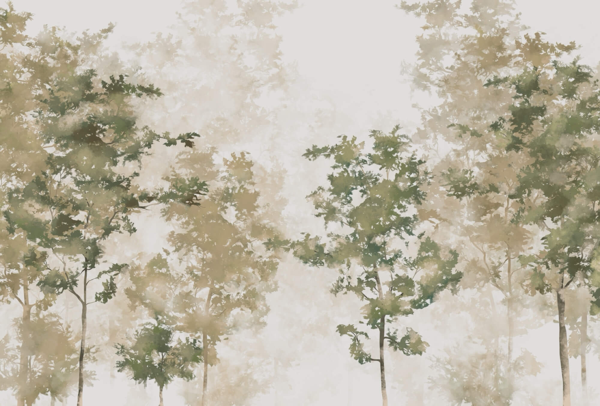 Group of trees with fog t00008p - Group of trees with fog - tegory