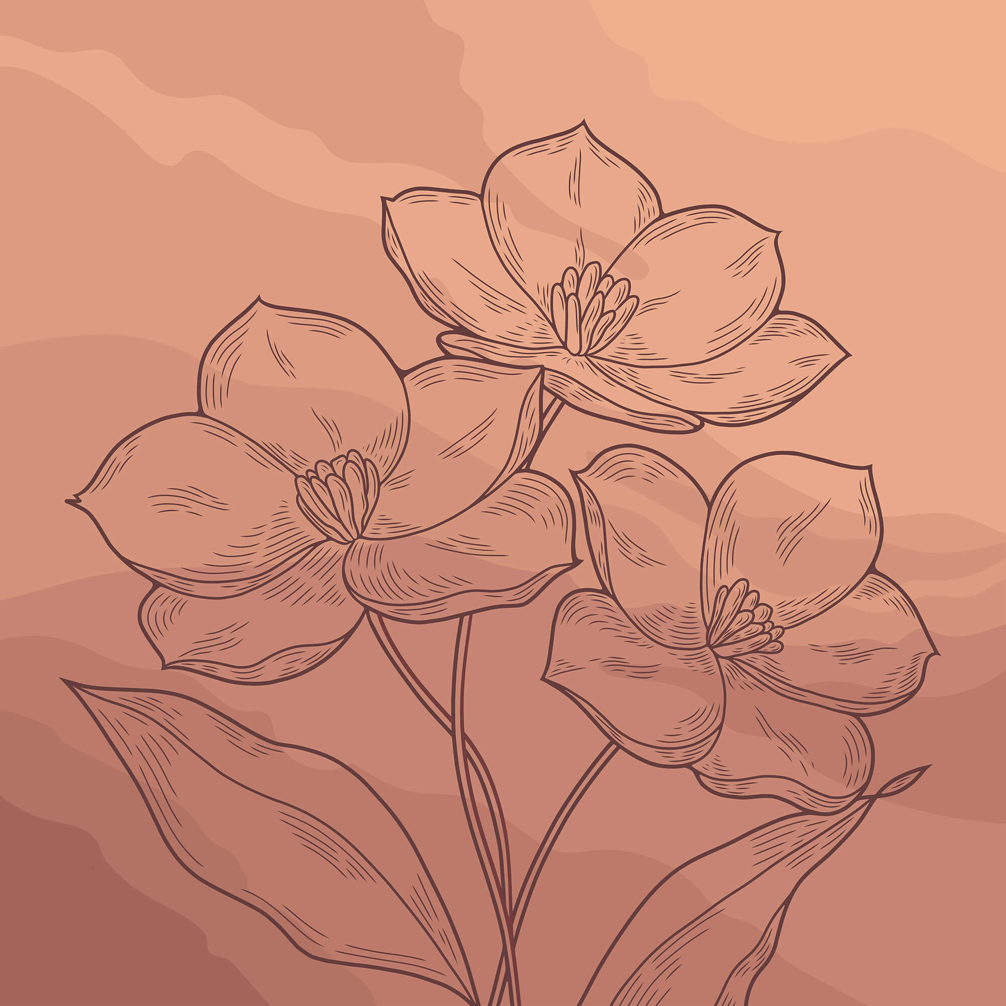 t00042p - Drawing of flowers on a pink background - tegory