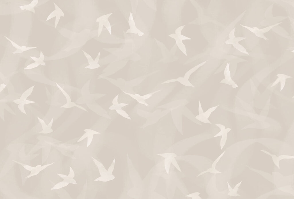 White birds flying in the air White birds flying in the air