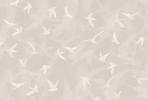 White birds flying in the air White birds flying in the air