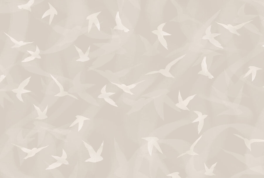 White birds flying in the air White birds flying in the air