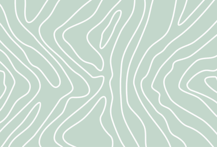 White lines on a light green background