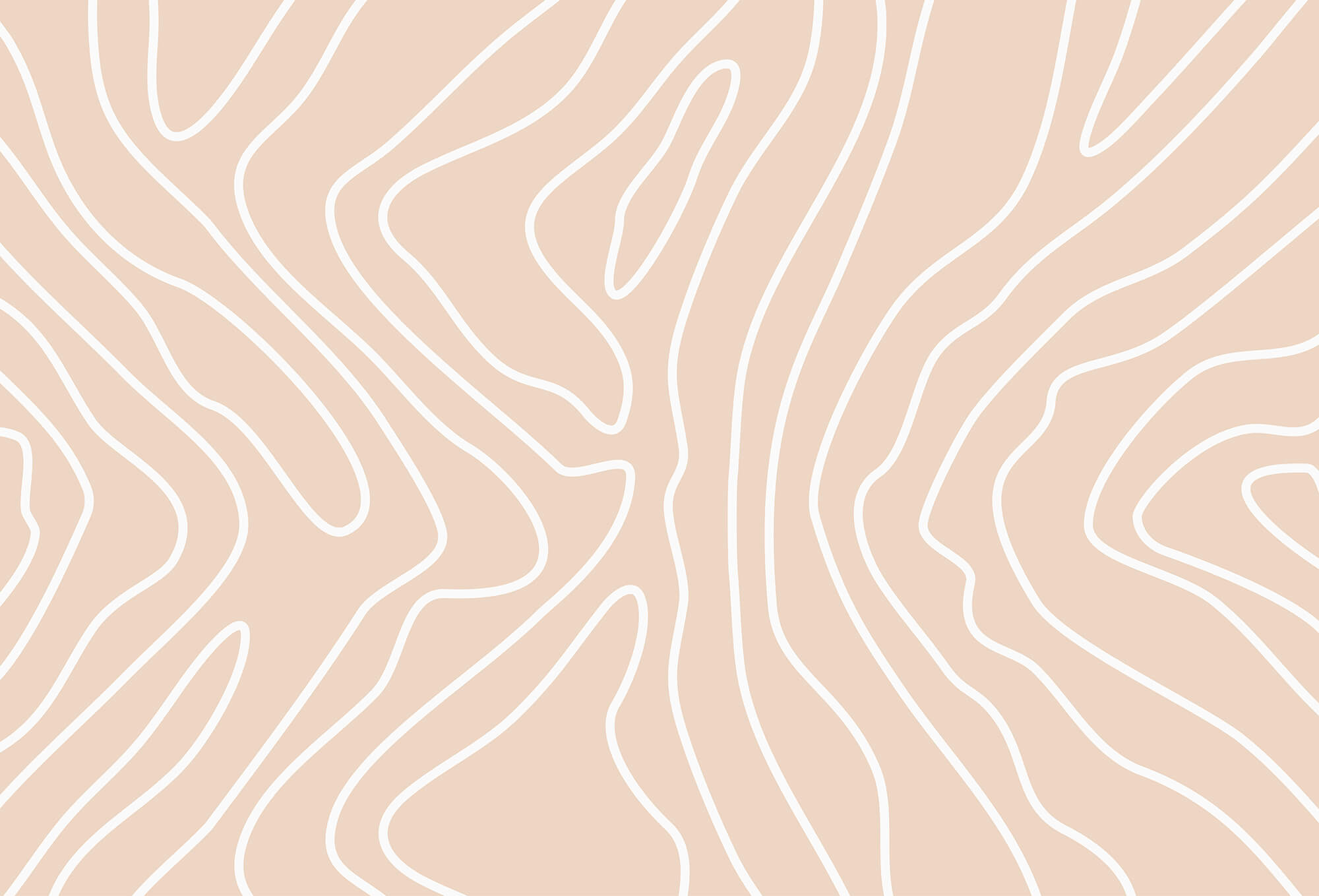 White lines on a pink background White lines on a pink background