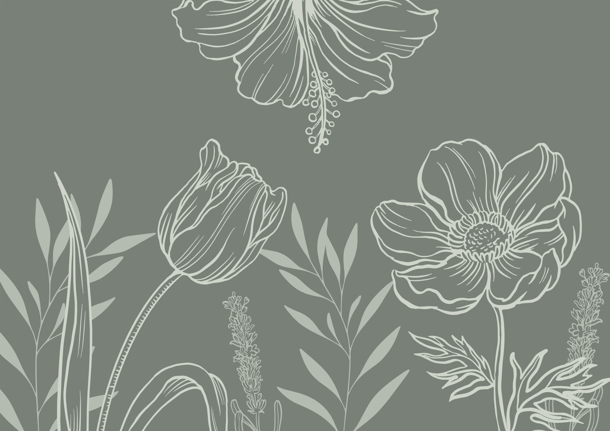Soft blooms on a muted backdrop Soft blooms on a muted backdrop