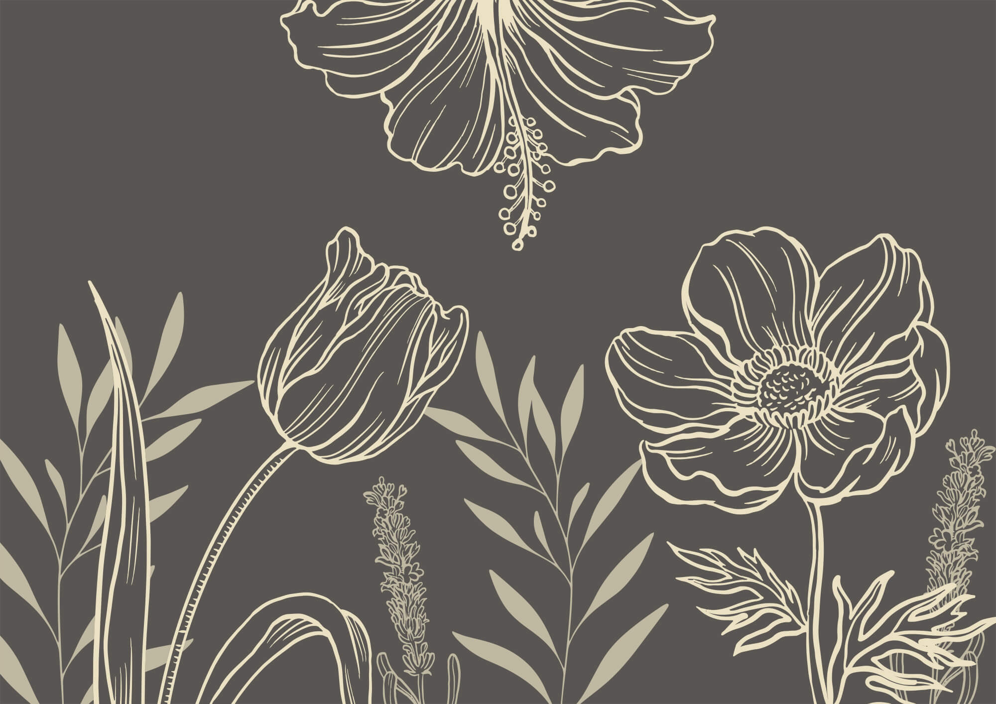 Delicate floral line art design t00006p - Delicate floral line art design - tegory