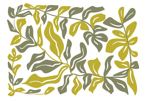 Drawing of leaves and flowers Drawing of leaves and flowers