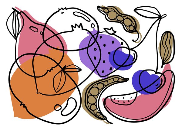 Drawing of different fruits Drawing of different fruits