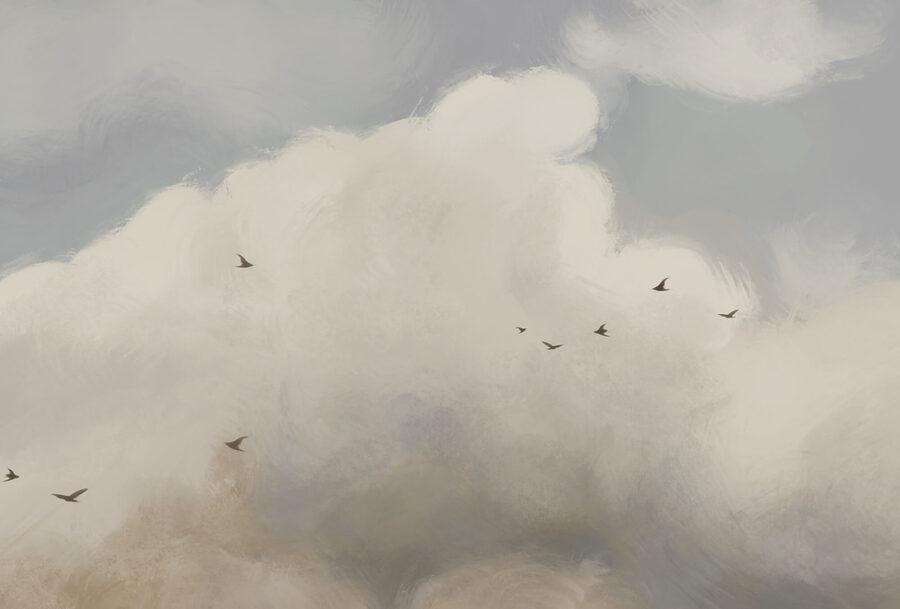 Wall murals Birds flying birds in the sky - Image 4