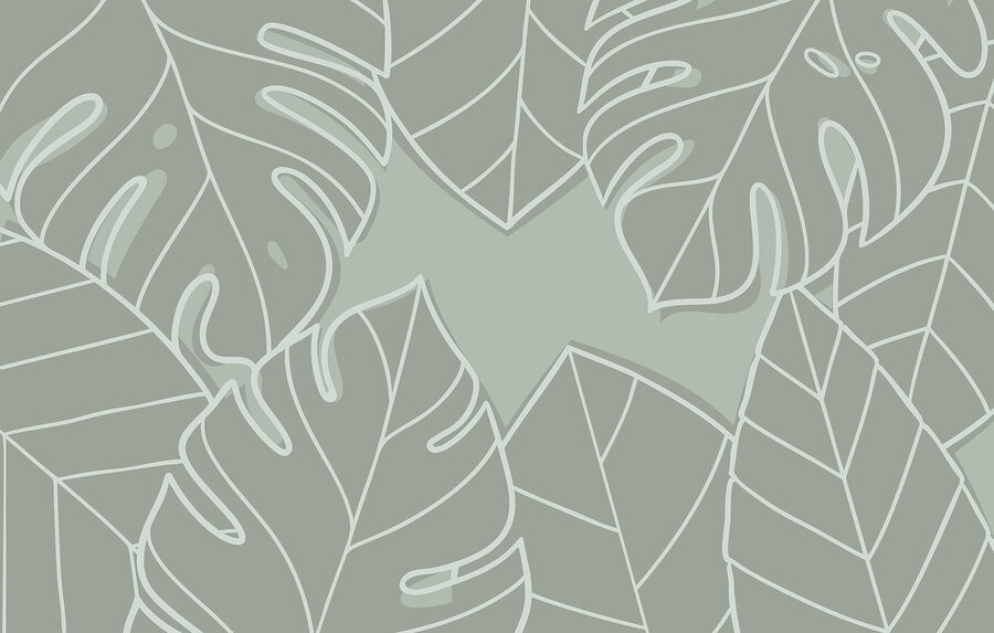 Group of leaves on a gray background