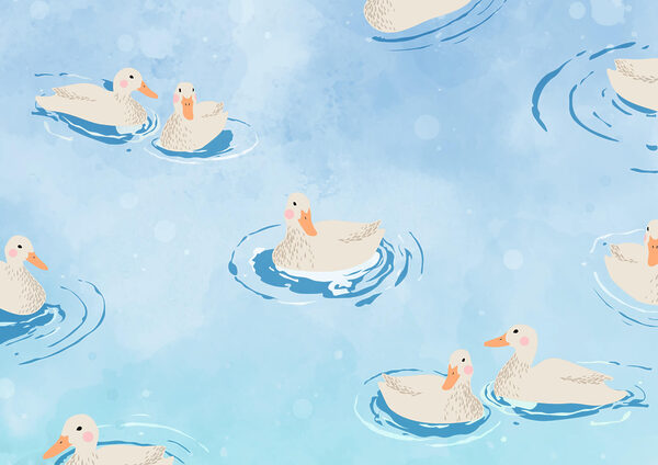Group of ducks swimming in water Group of ducks swimming in water