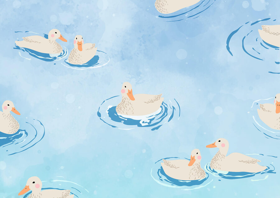Group of ducks swimming in water