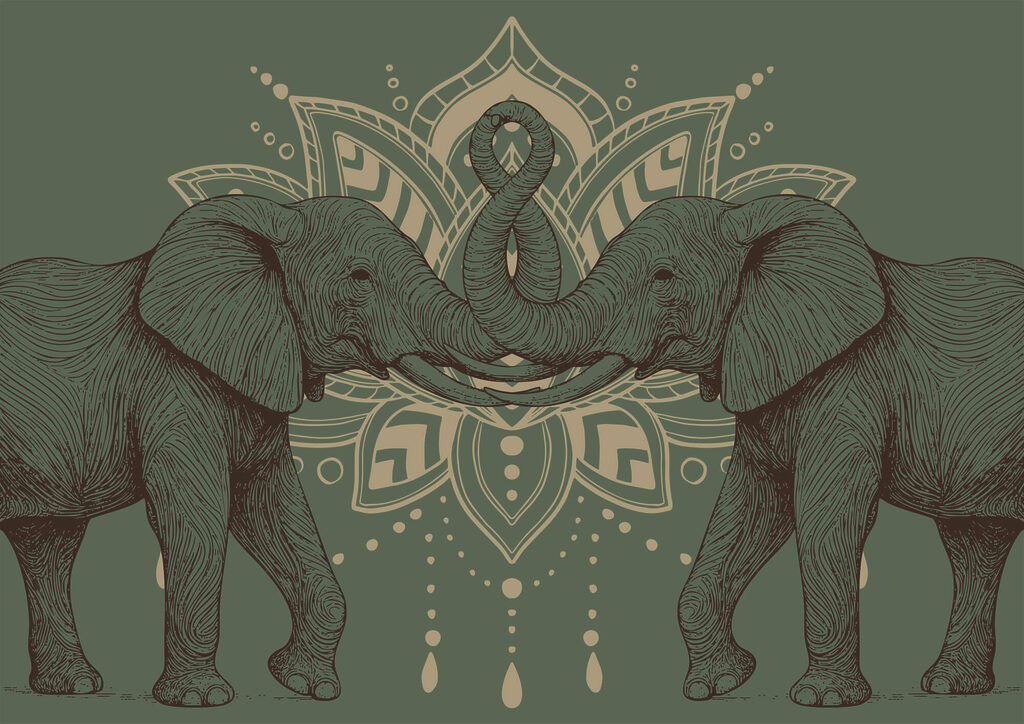 Two elephants with their trunks touching each other Two elephants with their trunks touching each other