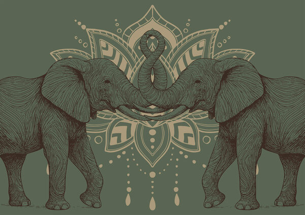 Two elephants with their trunks touching each other Two elephants with their trunks touching each other
