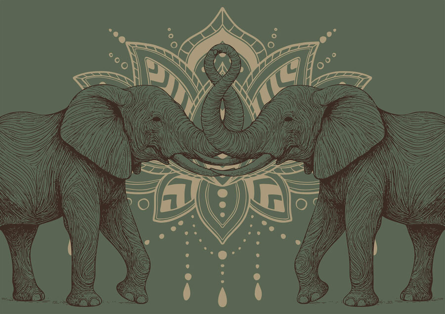 Two elephants with their trunks touching each other
