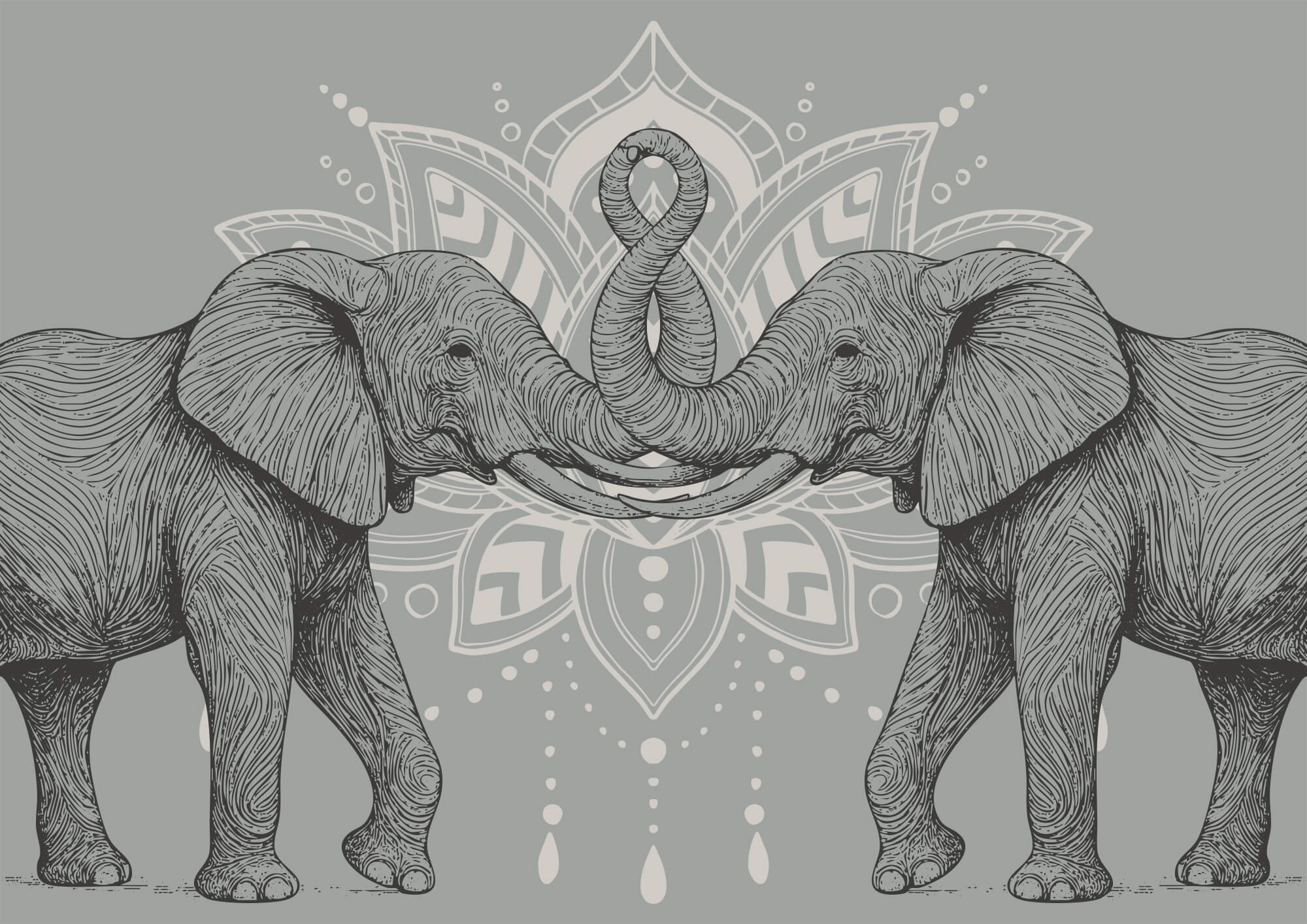 Two elephants with their trunks touching each other Two elephants with their trunks touching each other