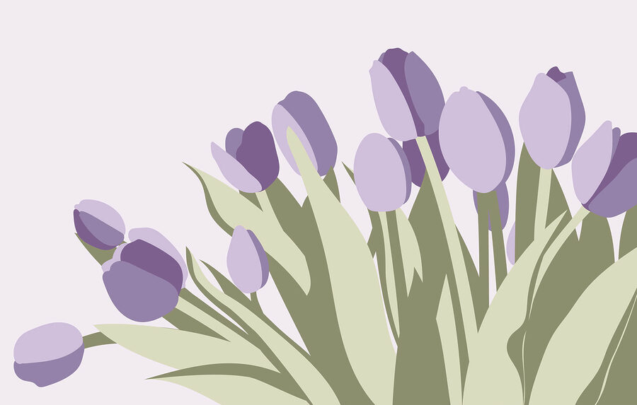 Wall murals Bunch of purple tulips - Image 3
