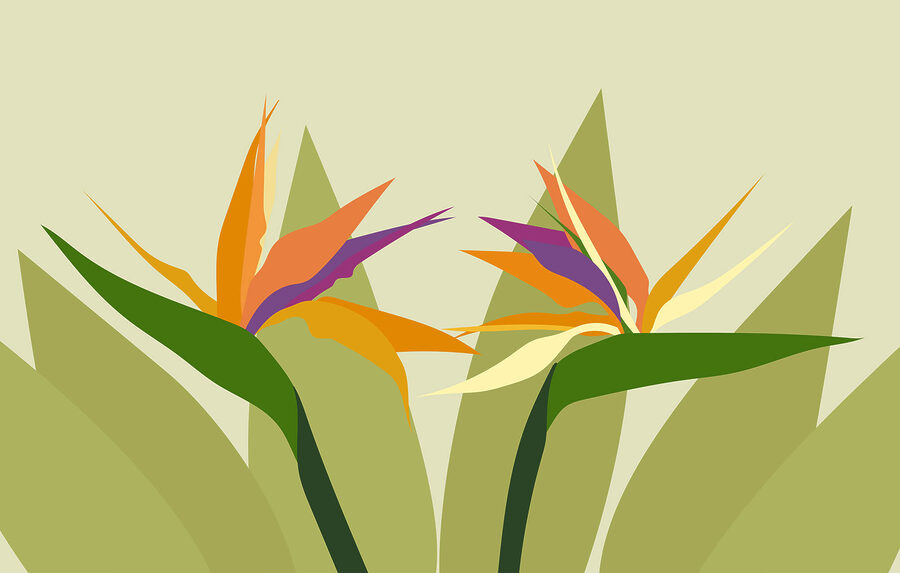 Wall murals Colorful flowers on green stems - Image 3