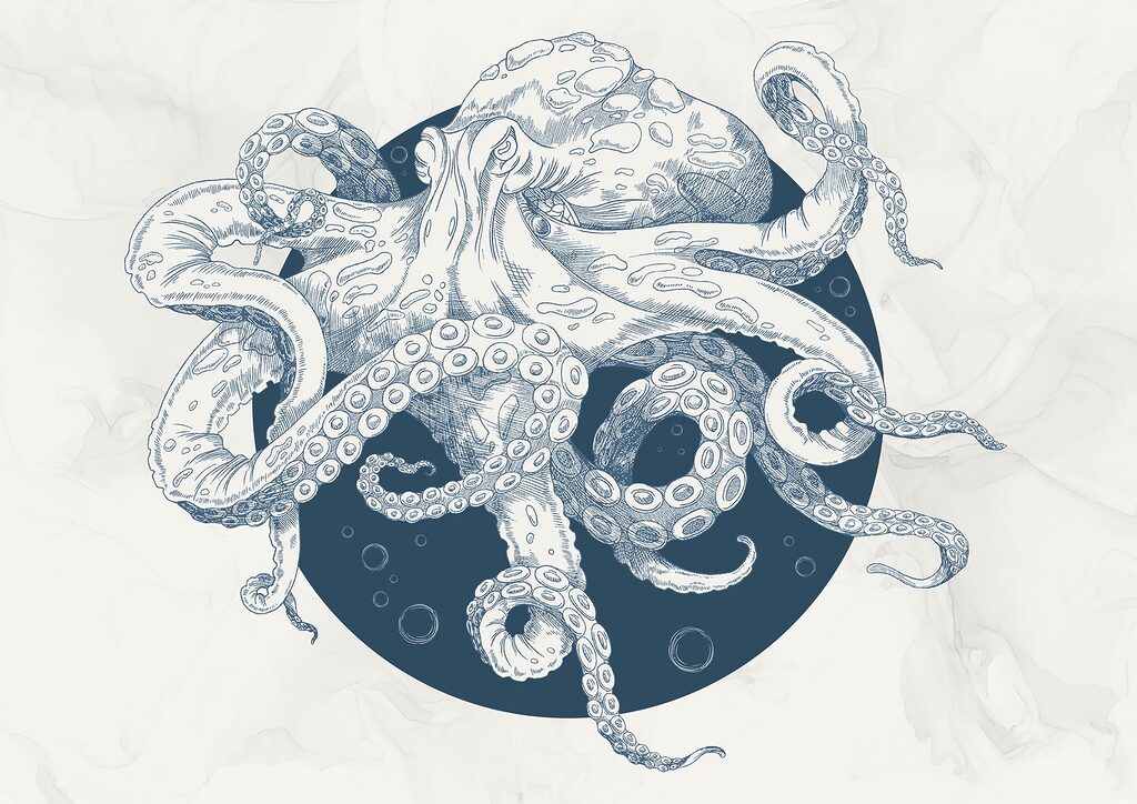 Drawing of an octopus t00010p 1024x724 - Drawing of an octopus - tegory