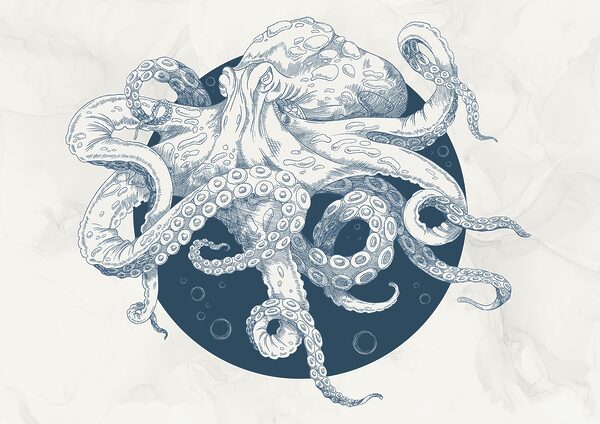 Drawing of an octopus t00010p 600x424 - Drawing of an octopus - tegory