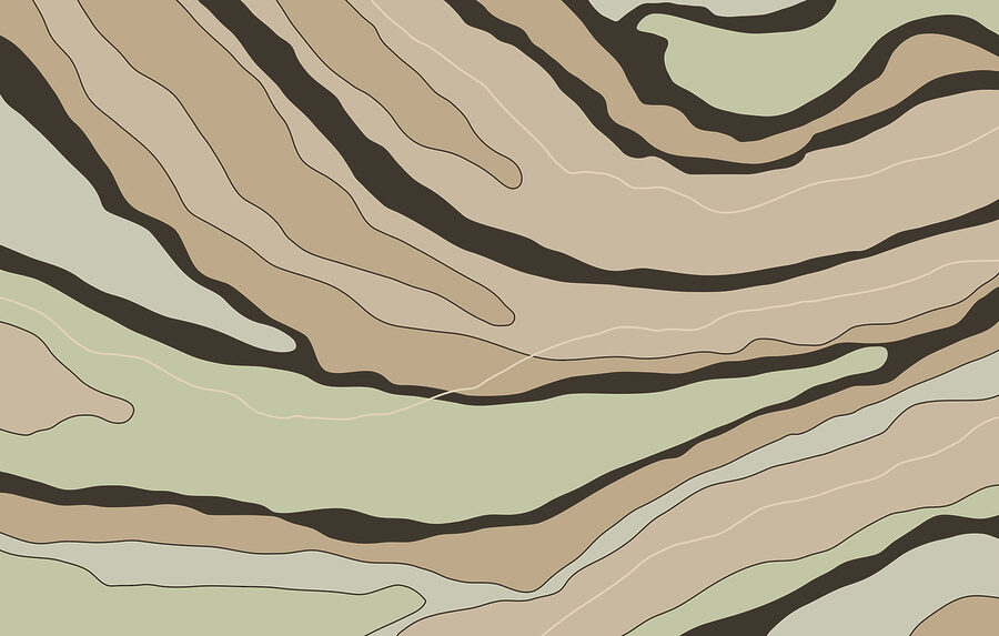 Wall murals Abstract lines in warm earth tones - Image 3